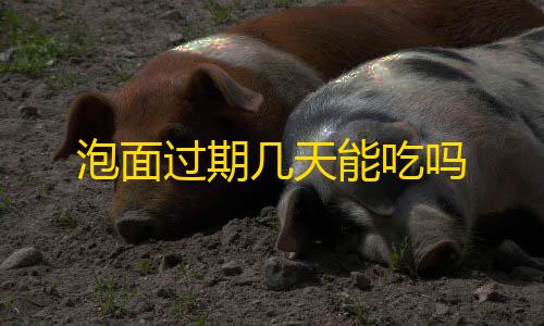 香肠派对辅助器安装包泡面过期几天能吃吗